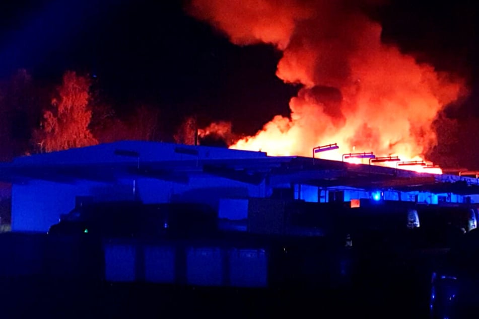 Das Dach der Lagerhalle in Alsfeld wurde bei dem Brand völlig zerstört.