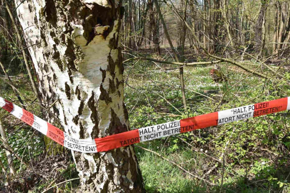 Die Polizei ermittelt, wie es zu den Unfällen kommen konnte (Symbolbild).