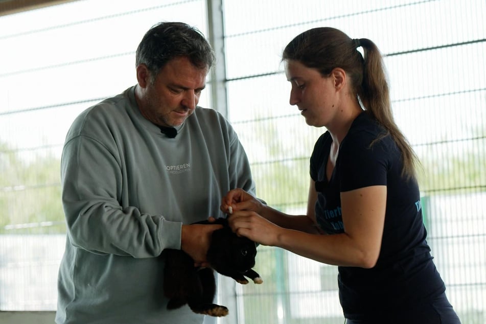 Rollentausch bei "Tierheimhelden": Während sich Detlef die Hunde zeigen lässt, kümmert sich Martin um die Kleintiere.