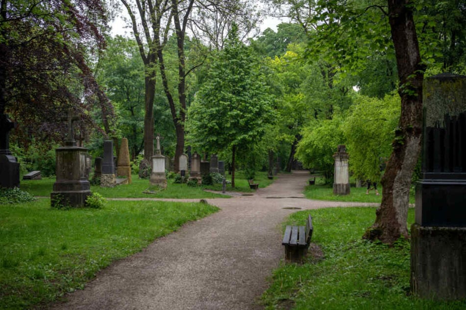 Der alte Nordfriedhof in München.