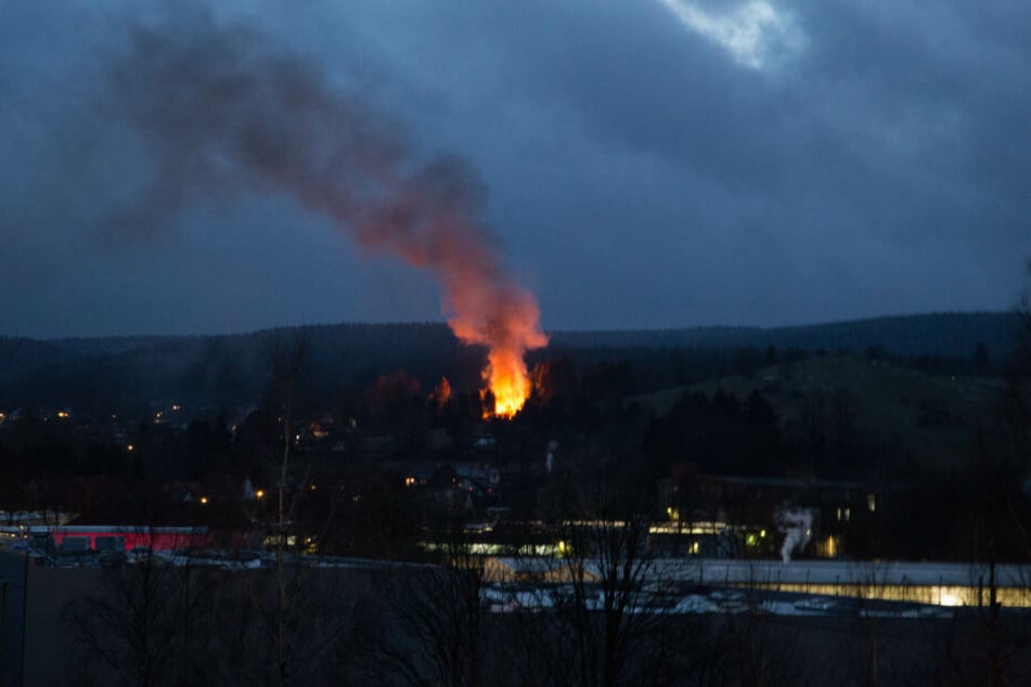 Der Brand lag mitten im Wald, war nur über kleine Wege zu Fuß zugänglich.