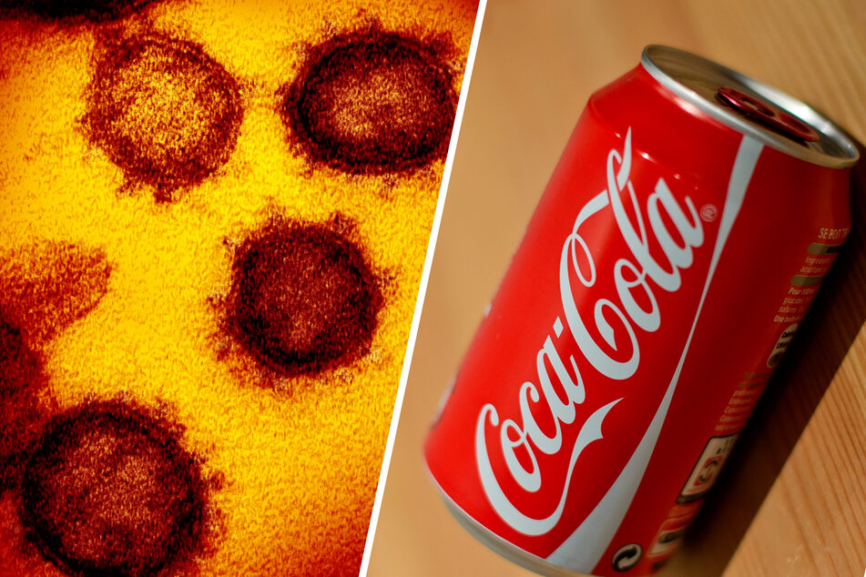 Alle derzeit kursierenden neuen Coronaviren passen Berechnungen eines britischen Mathematikers zufolge locker in eine Cola-Dose.