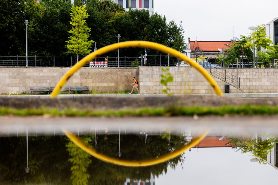 Auch in der Spree werden Aale zur Bestandserhaltung ausgesetzt. (Symbolbild)