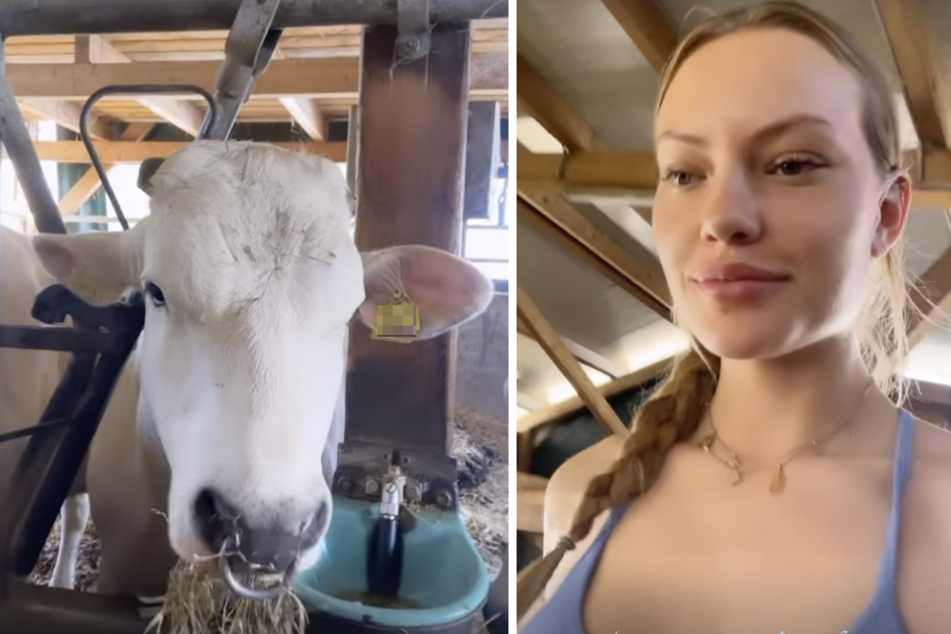 Cheyenne Ochsenknecht (23) liebt ihre Kühe.
