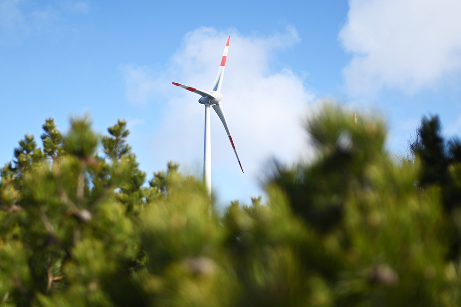 Windkraftanlagen "über Wald" sollen in Sachsen künftig möglich sein. Aber es gibt Ausschlusskriterien.