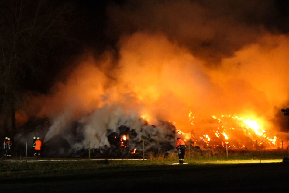 Die Löscharbeiten werden nach Einschätzung der Feuerwehr noch bis in die Morgenstunden andauern.