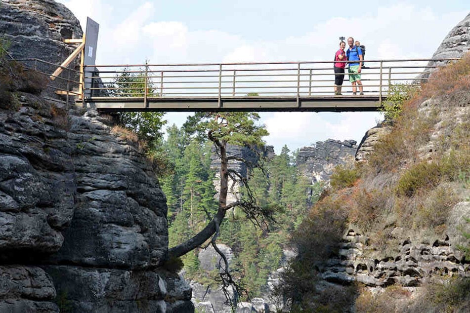 Mehrere Brücken der Felsenburg Neurathen müssen dringend saniert werden.