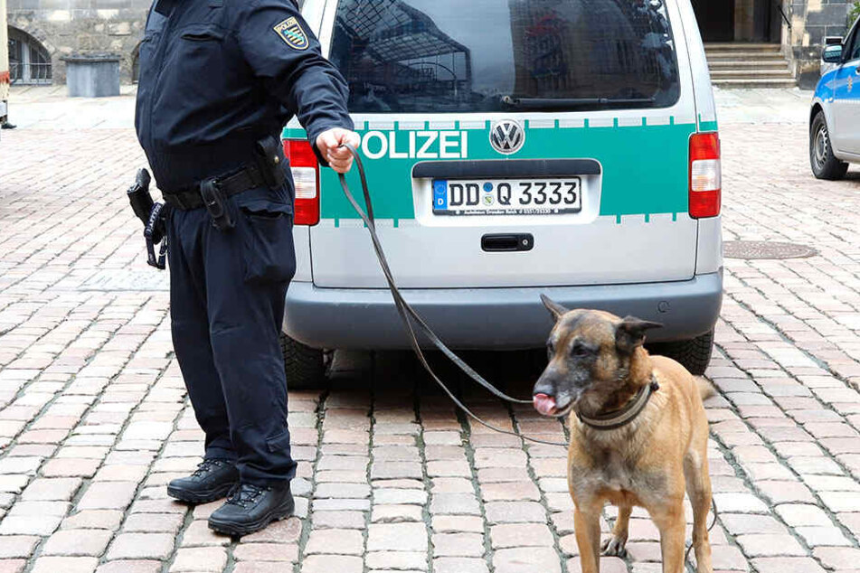 Insgesamt 54 Polizeikräfte waren im Einsatz. Mit mehreren Sprengstoffspürhunden wurde das komplette Rathaus durchsucht.