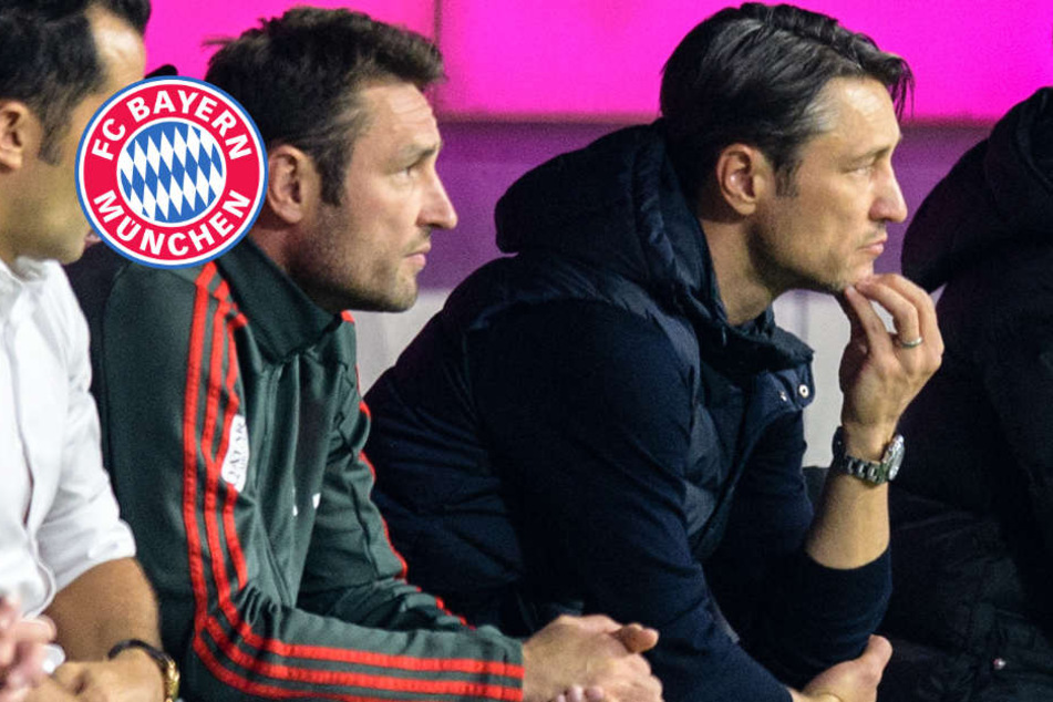 Suche nach Tag: bayern porno Suche nach Tag: bayern porno