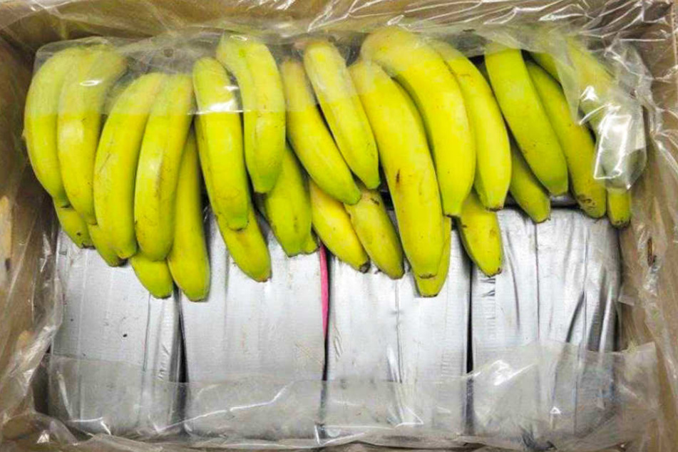 Unter 39 Bananenkisten war das Kokain versteckt worden.