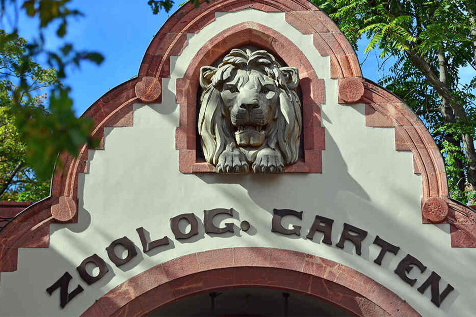 Im Leipziger Zoo herrscht Trauer-Stimmung.