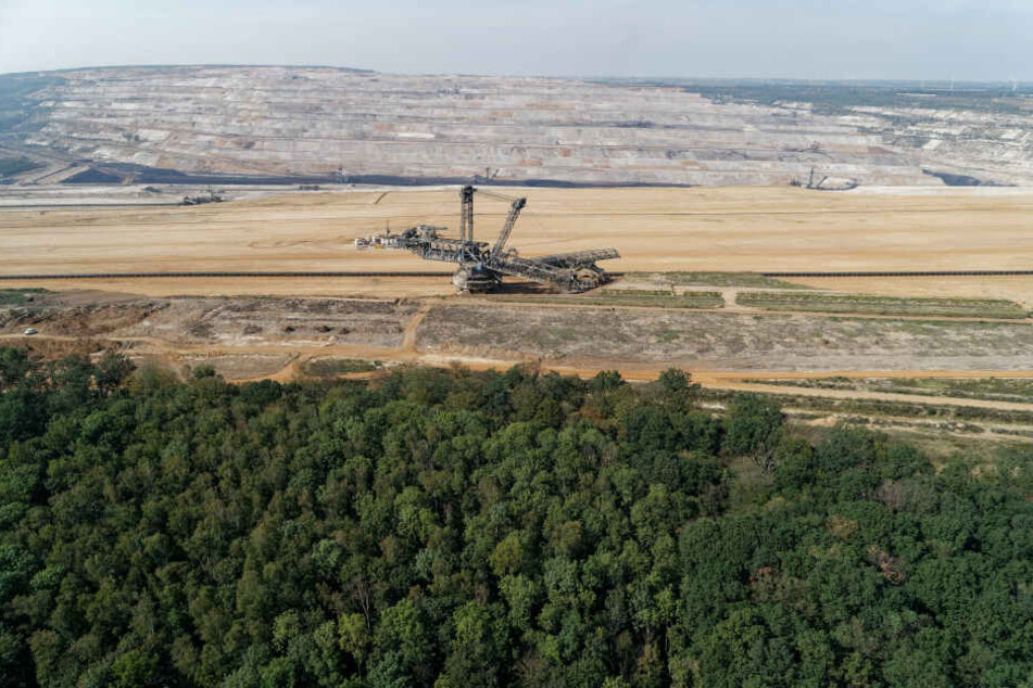 Hinter dem Wald geht es direkt runter in den Tagebau Hambach.