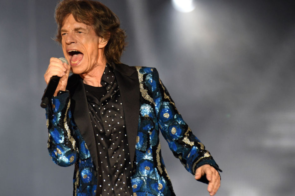 Nach ihm ist nun eine Fliege benannt: Mick Jagger. Ob der Boss der Stones sich "seine" Steinfliege im Naturkundemuseum anschaut?