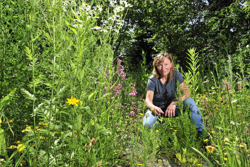 Heike Janthur (55) hat für Wildbienen eine artenreiche Blumenwiese angelegt, die sie beim Tag der Imkerei zeigt.