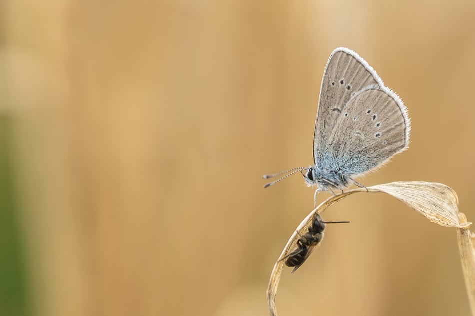 Geht raus und genießt die Sonne: Am Wochenende könnte es ungemütlich werden