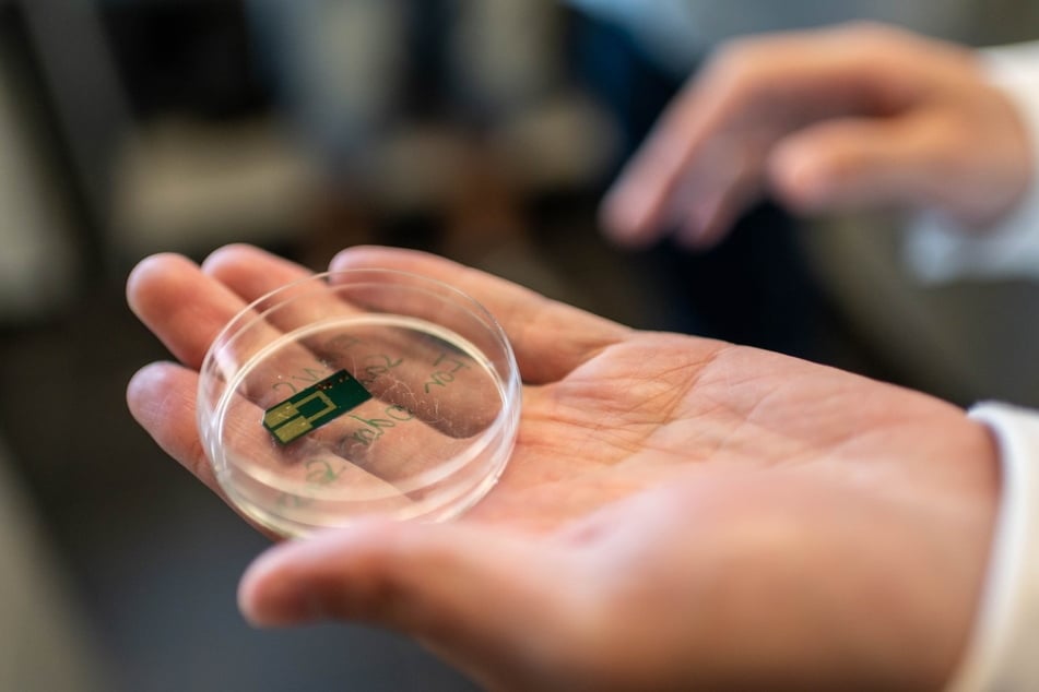 Erkennt schon mehrere Gerüche: So sieht der von den Dresdnern entwickelte Sensor-Chip für die elektronische Nase aus.