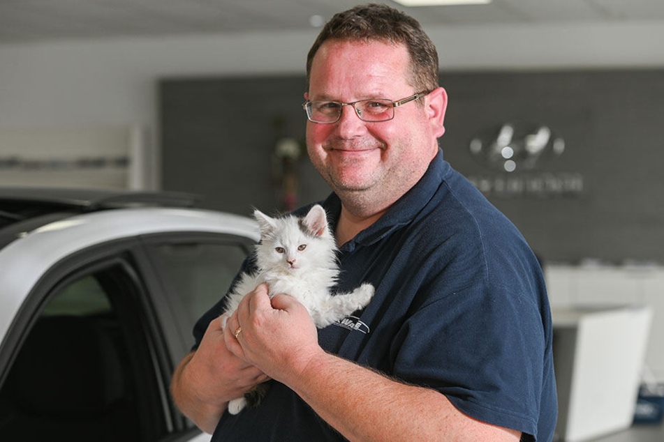 Werkstatt-Leiter Peter Thomas (44) mit dem geretteten Kater Kevin.