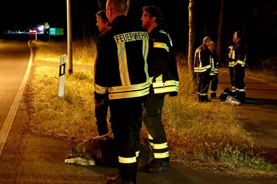 Die Beamten brachten vier Personen, die sich noch auf dem Gelände befanden, in Sicherheit.