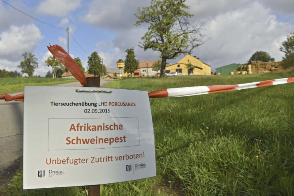 In Dresden erprobten Feuerwehr, Veterinäramt und Rathaus bereits 2015 das richtige Verhalten bei Ausbruch der Seuche.