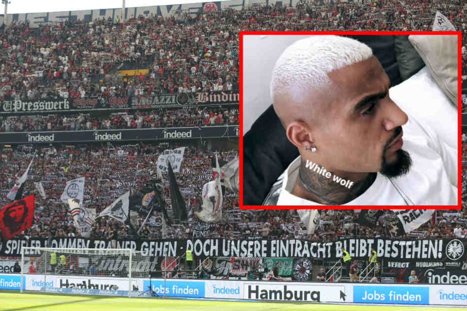 "White wolf": Kevin-Prince Boateng hat die Haare weiß.