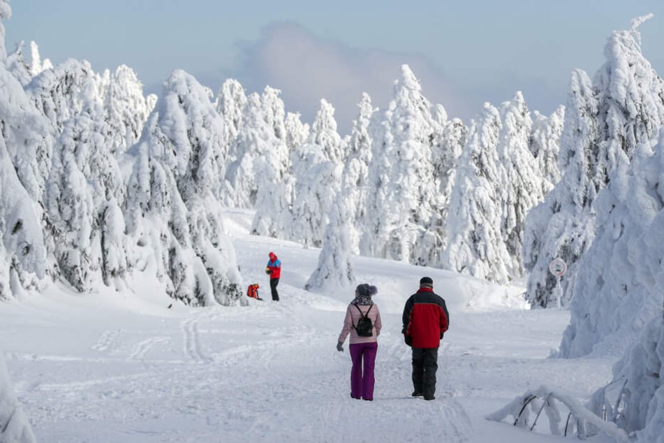 Nicht nur Skifahren waren im Erzgebirge unterwegs, sondern auch Wanderer.