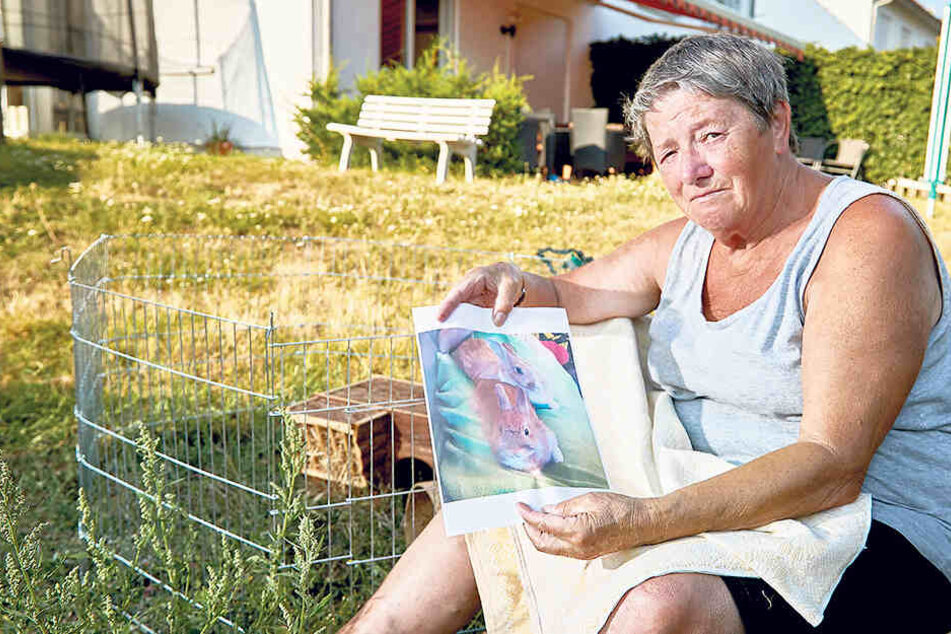 Sieglinde Heinrich ist entsetzt über den Diebstahl.