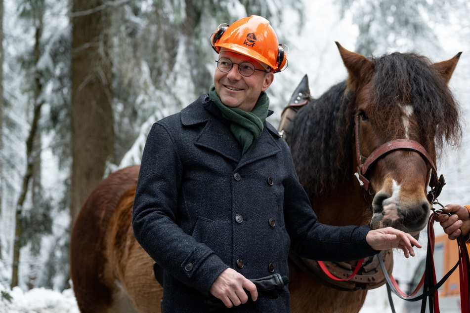 Zu Günthers Ressort gehört der Forst. Bei einem Pressetermin in Gelenau zeigte er sich mit einem Kaltblüter. Das Pferd rückte dort Holz für den Staatsbetrieb Sachsenforst.