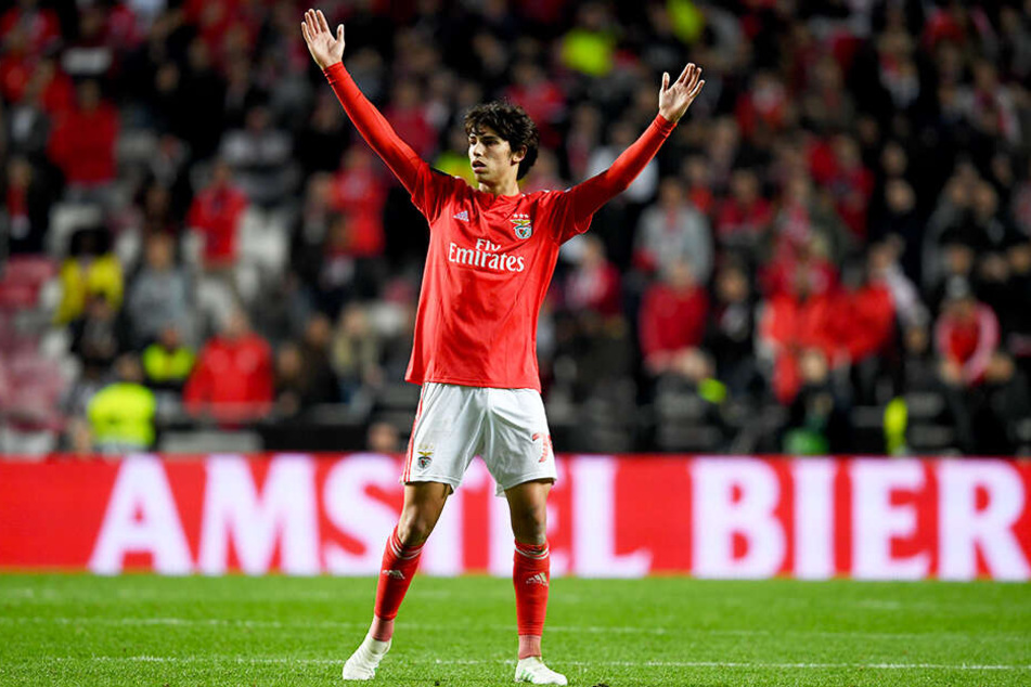 Joao Felix wird nach Einschätzung vieler Experten schon bald bei einem der ganz großen Clubs spielen.