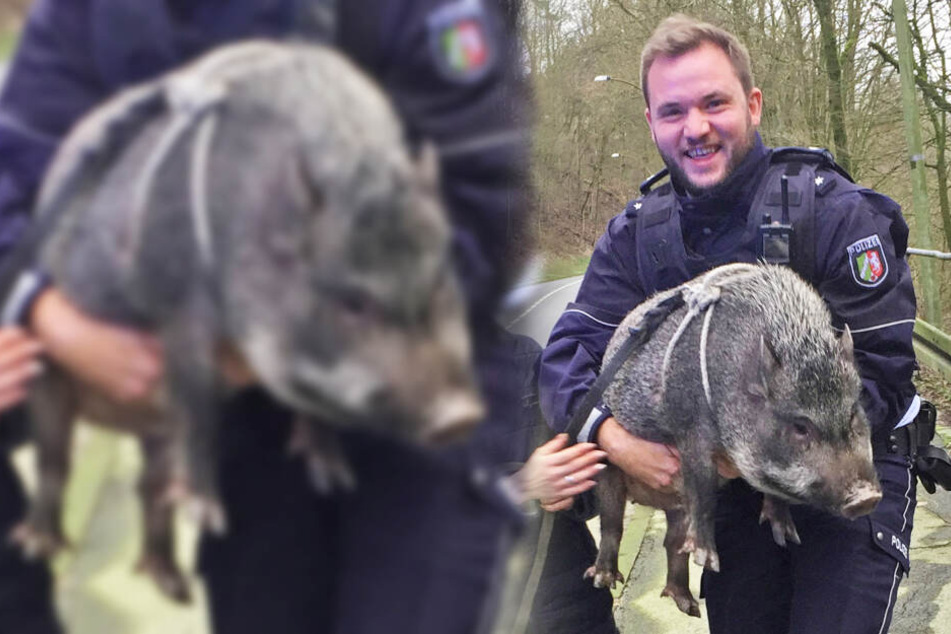 Ursel büxte von zu Hause aus und irrte über die Ihmerter Straße.