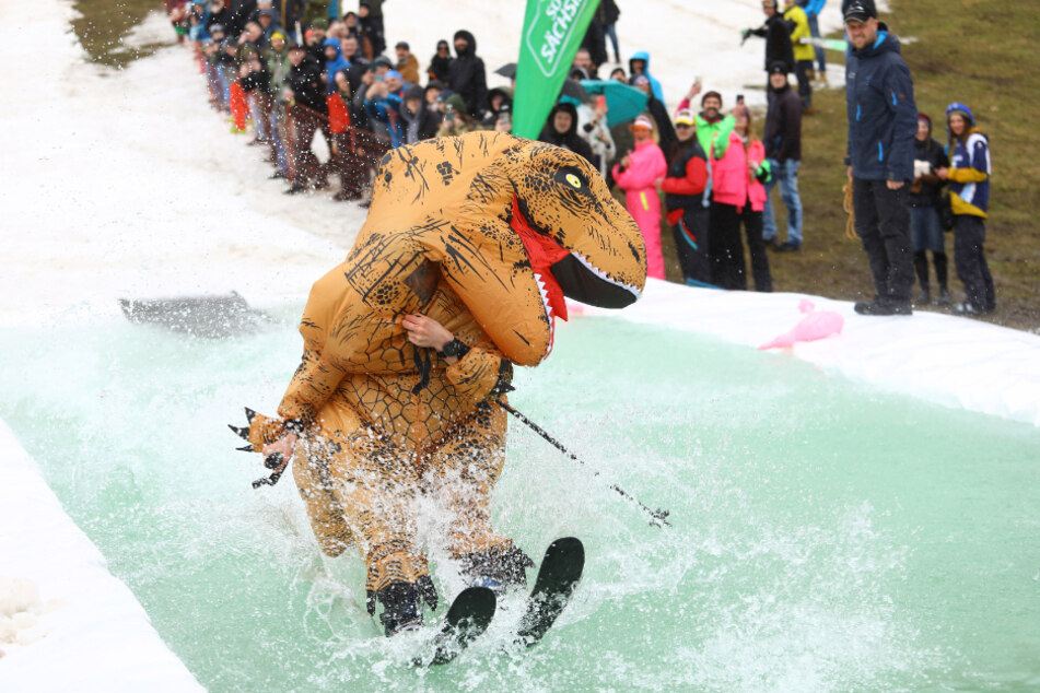 Beim Saisonabschluss in Oberwiesenthal ging auch der Dino am Skihang baden.
