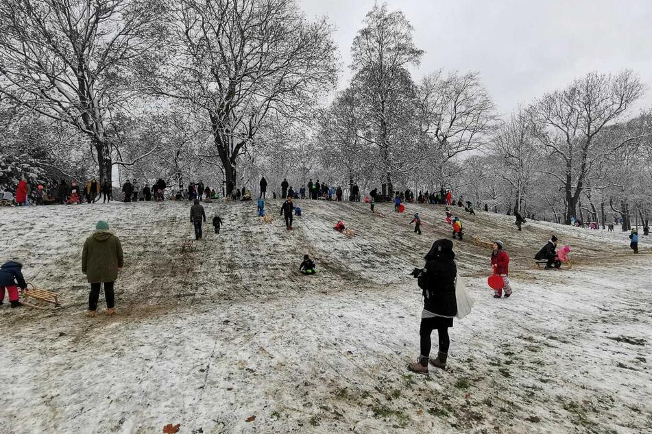 Im Clara-Zetkin-Park sind die Kleinen am Rodeln.