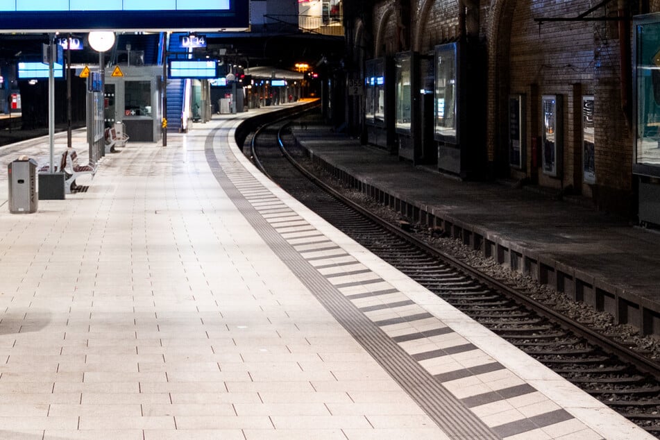 Ein Mann ist am Mittwoch im Hamburger Hauptbahnhof in den Gleisbereich der S-Bahn gestürzt. (Symbolbild)