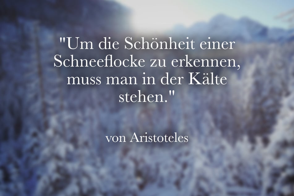 Aristoteles meinte: "Um die Schönheit einer Schneeflocke zu erkennen, muss man in der Kälte stehen."