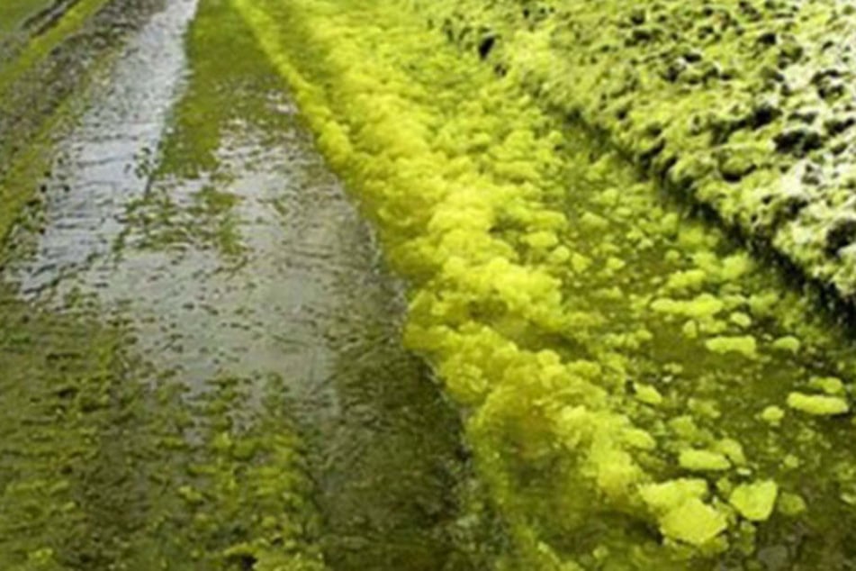 Giftiges Grün - im wahrsten Sinne des Wortes. Der dreckige Schnee ist die Folge von Umweltverschmutzung.
