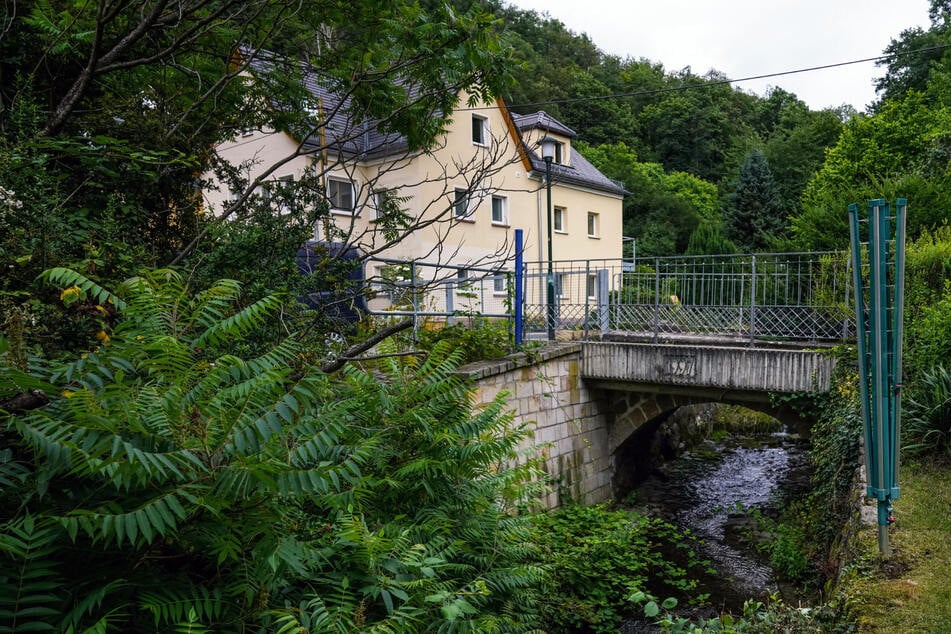 Dresden: Entschärfung geplant: Bei Starkregen wird dieser Bach zur Todesfalle