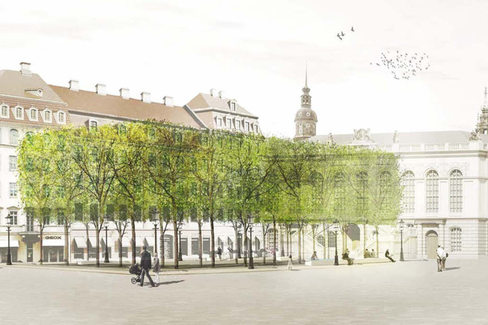 Erholungshain statt Stein! So soll das Platanen-Gewandhaus aussehen.