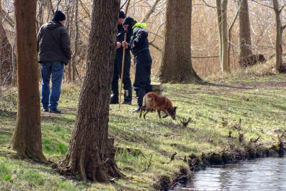 Polizeibeamte mit einem Spürhund suchen am Ufer eines Brandenburger Sees. (Symbolbild)