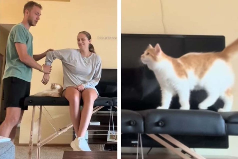 Nathan and Kayla were recording an important video for work when their cat decided to join the party.
