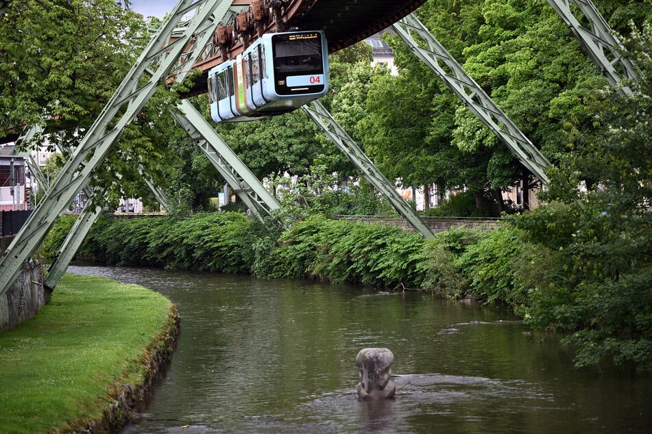 Seit 125 Jahren schwebt sie über der Wupper: Die Wuppertaler Schwebebahn ist das Wahrzeichen der Stadt.