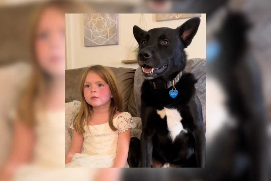 A little girl and her new rescue pup bonded over a Disney movie in the cutest way!