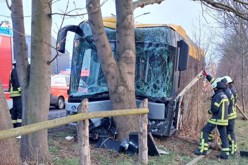 Im Leipziger Nordosten ist am Mittwochabend ein Bus gegen einen Baum gekracht.