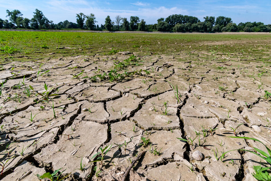 Zu trocken und zu warm: Trinkwasserversorgung in Bayern gefährdet