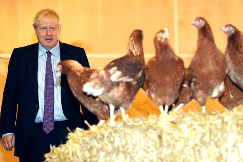 Auf der Shervington Farm in Newport ließ sich Boris Johnson mit mehreren Hühnern fotografieren.