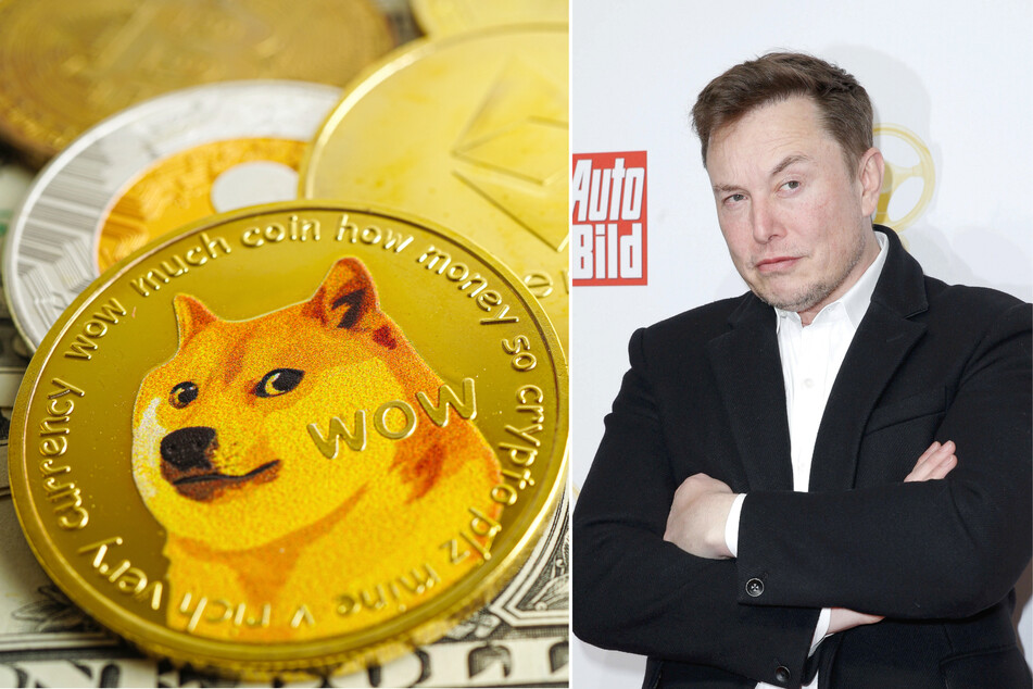 Elon Musk (r) changed the Twitter bird logo to the Dogecoin logo after requesting a federal judge throw out a racketeering lawsuit brought on by Dogecoin investors.