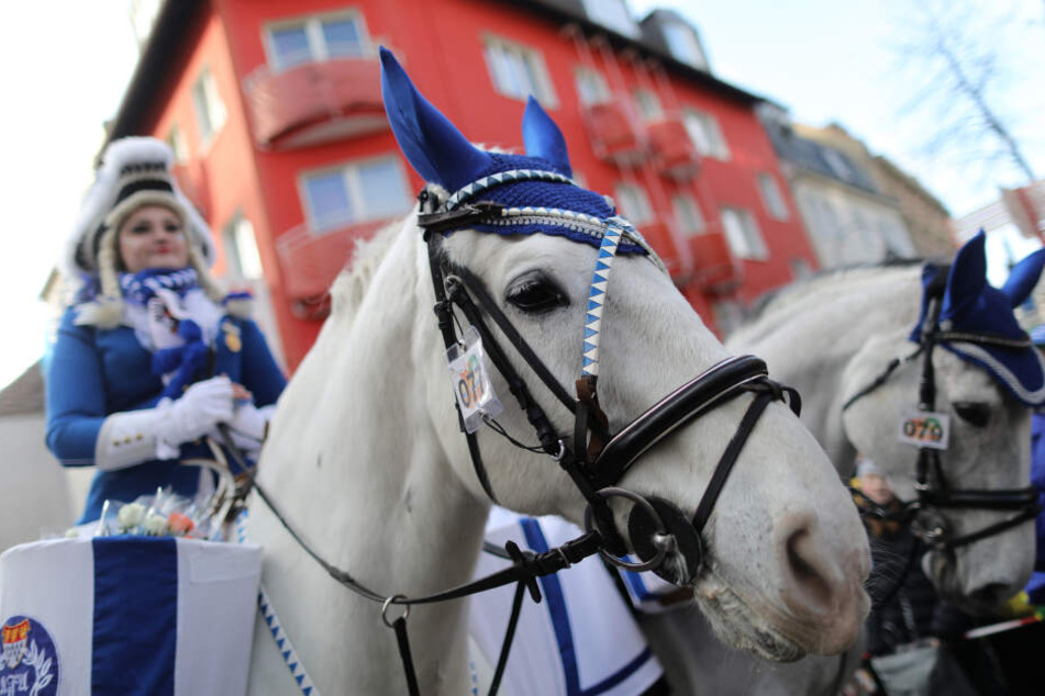 Beim Kölner Rosenmontagszug 2019 wird es keine Pferde geben (Archivbild).