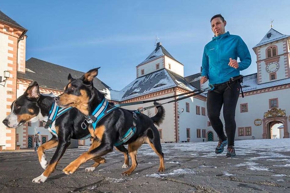 Sascha Winkler (31) mit seinen Hunden Elinor (3) und Bella (7, r.) am Schloss Augustusburg, dem Ziel des Canicross-Berglaufs.