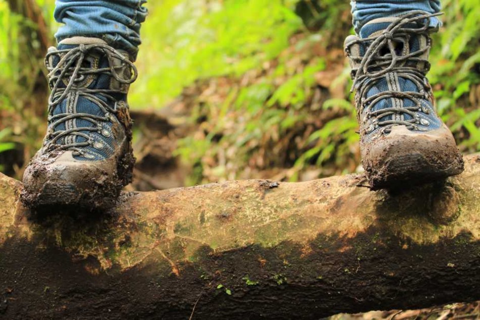 Mit Wanderschuhen und -rucksack ging der Mann in den Wald spazieren. (Symbolbild)