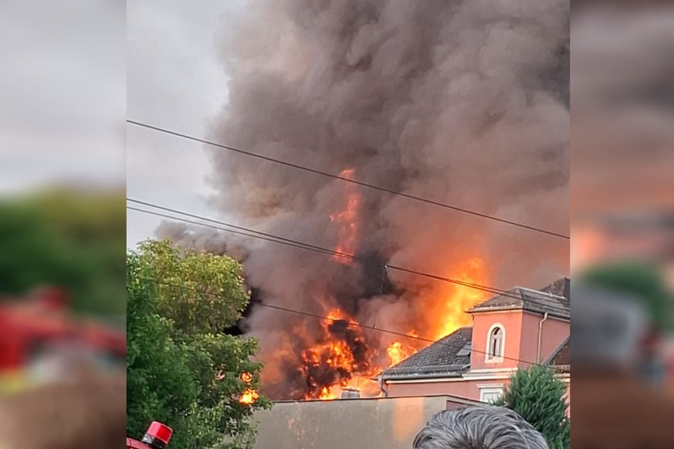 Vor den Flammen existierten bereits Pläne über eine Wiederbelebung der ehemaligen Staatsoperette.