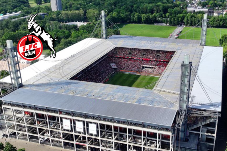 Besondere Ehre für Frauen-Team des 1. FC Köln: "Gänsehaut ist garantiert"