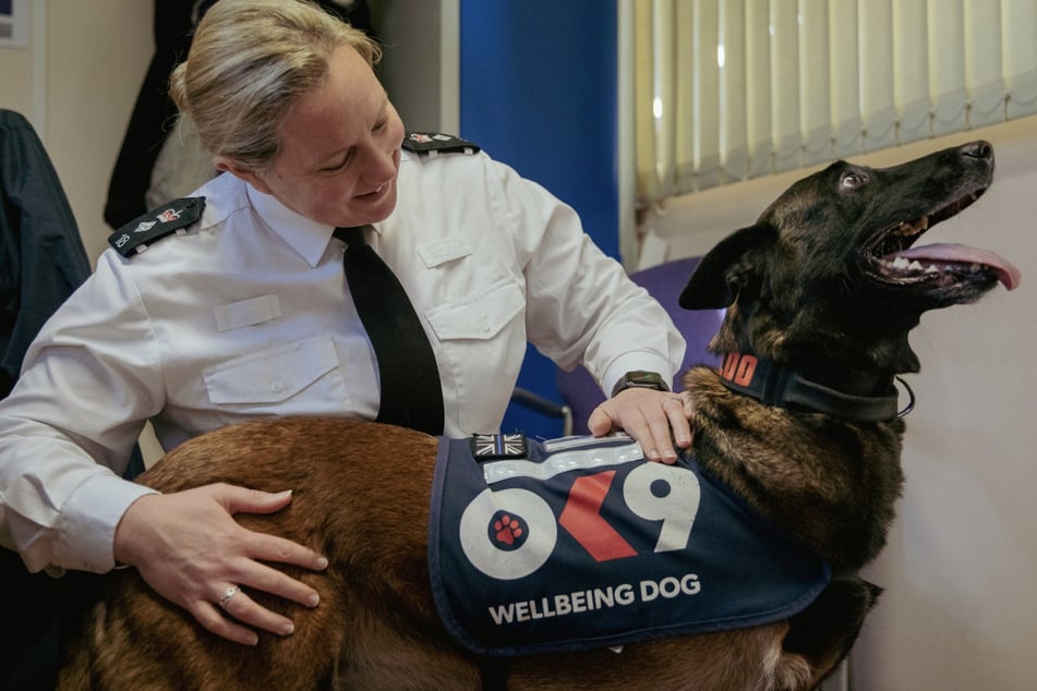 Hündin Baloo und Mandy Chapman besuchen regelmäßig Menschen, um ihnen bei ihren psychischen Problemen zu helfen.